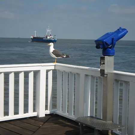 Haus Sonnensegler - شقة كوكسهافن